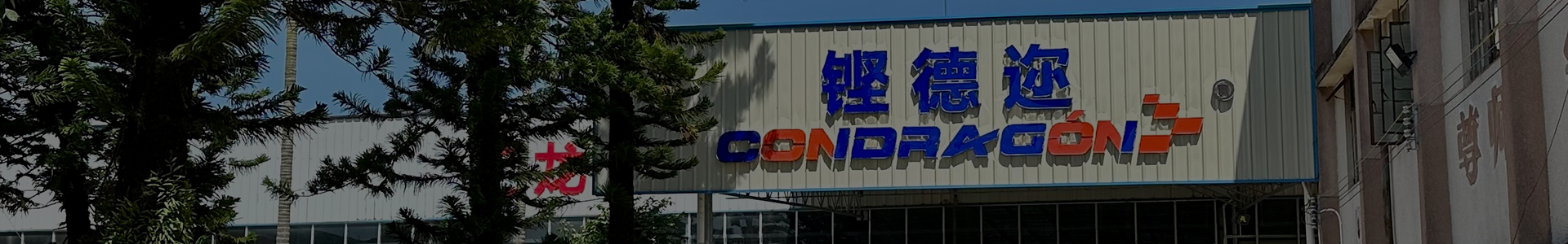 condragon nissan parts